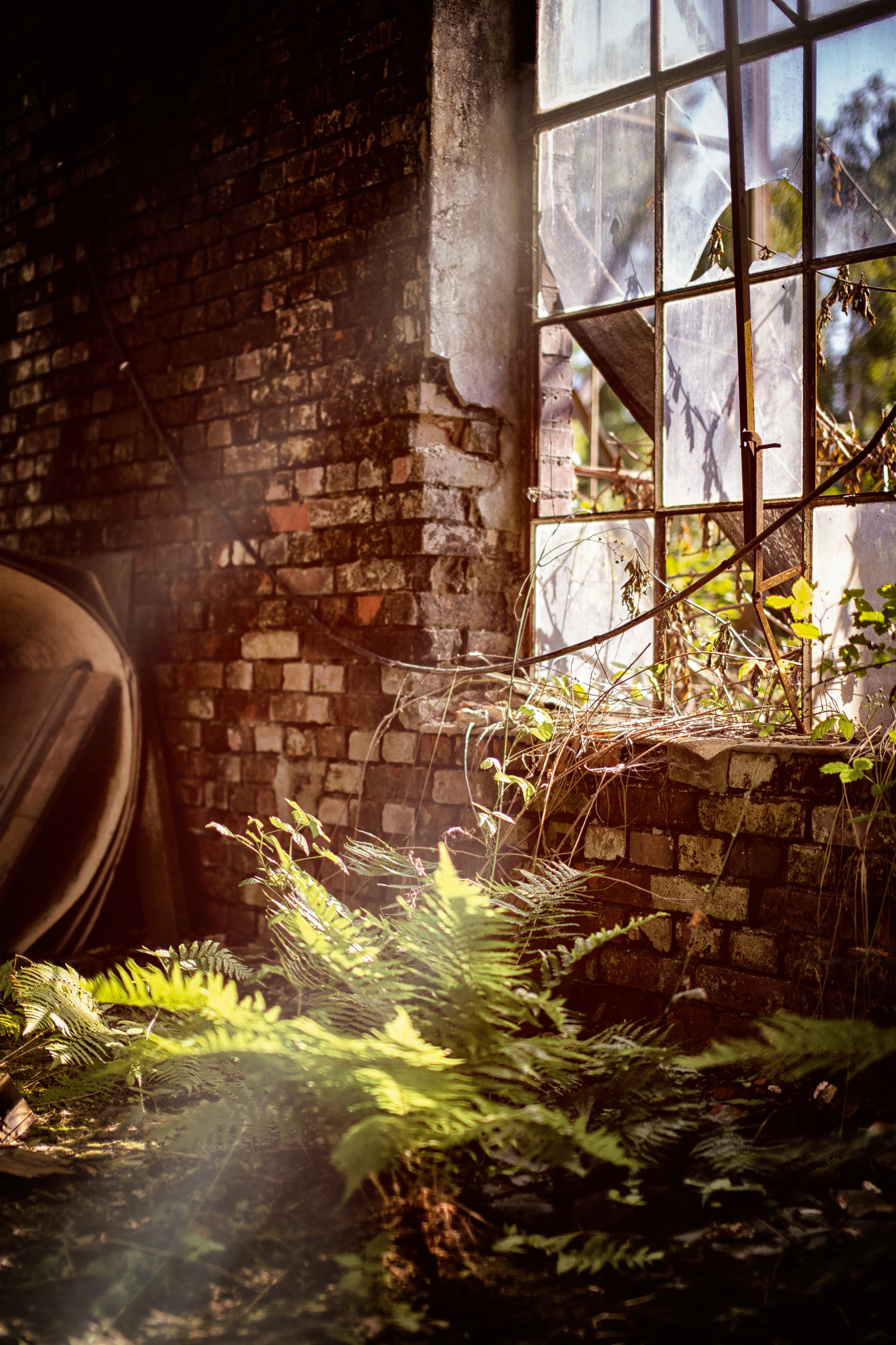 overgrown.jpg