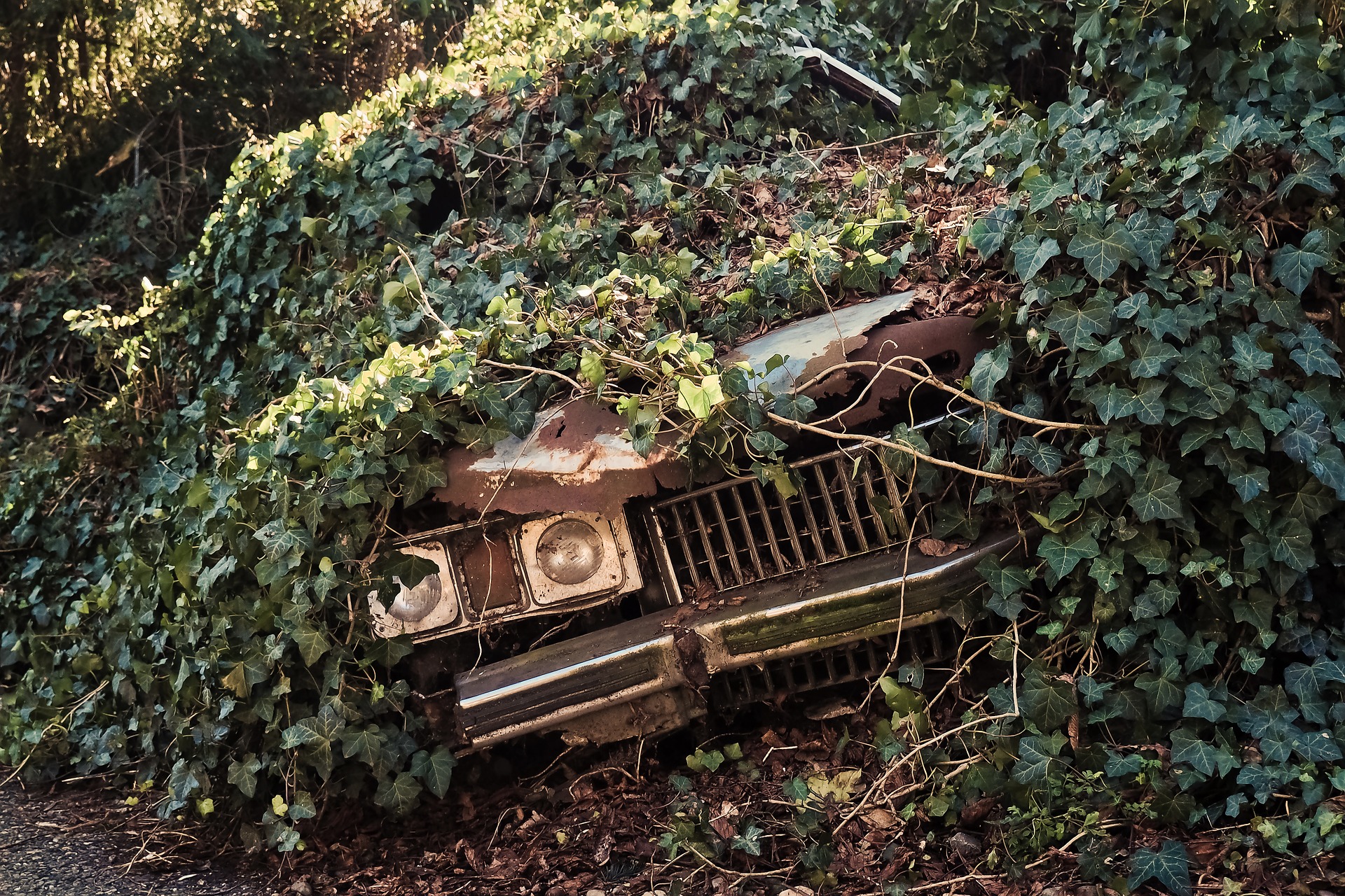 vehicle.jpg